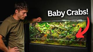 450 Days Ago I Made An Ecosystem, This Happened!