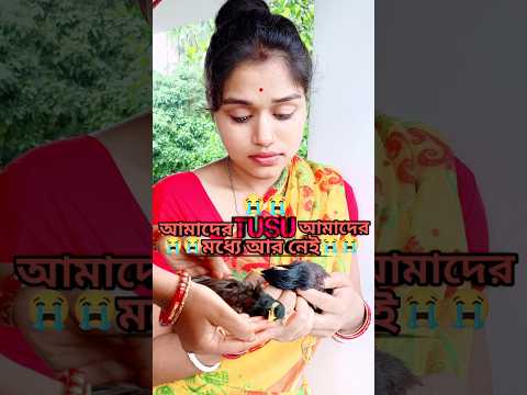😭🐦Tusu Amader Modhe Ar Nei 😭😭 | 😭🐦 টুসু আর আমাদের মধ্যে নেই 😭😭 | Mini Vlog | #shorts #minivlog #vlog