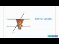 Properties of Angles and Transversals