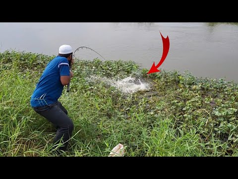 "ROHUFISH FISHING:How to Succeeded at River Float Fishing with a Single Hook "BIG ROHUFISH Catching