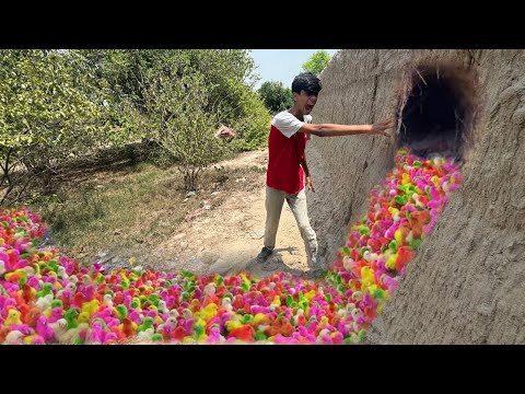 Colourful chicks mil gay / mini zoo kay bahir say pkda