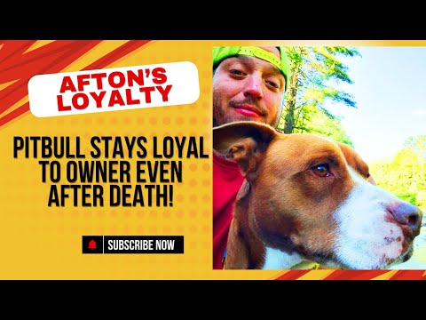 Loyalty: Man found dead in woods with service Pit Bull by his Side! Story Time!