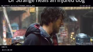Dr. Strange Heals Wounded Dog - Deleted Scene