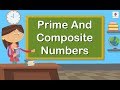 Exploring Prime and Composite Numbers