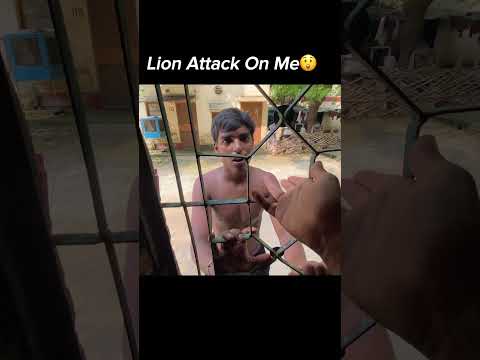 Lion Attack On Me😲#shorts #trending