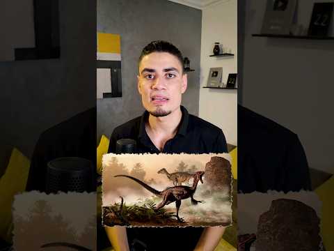 هصدمك 7 مرات - فيديو العام!