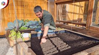 De PATIO a MINI GRANJA: Solo hay que atreverse 👨‍🌾