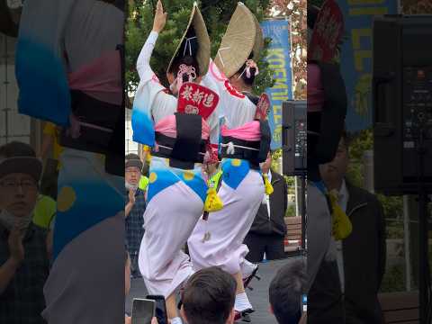 高円寺 #阿波踊り #阿波おどり 葵新連 #祭り #beautifulmusic #阿波舞 아와오도리