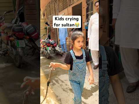 Bache Bohet roye 😭 sultan Jane wala #animalsong #cowvideos #cowlover #cows #animallovers #pets