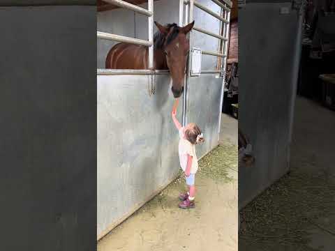 Sweet love baby #horse #pigfeed #babyanimal #funny #baffalo #babyhorse #equestrian#Family Animal