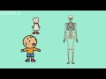 人体の仕組みクイズ
