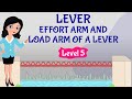 Bridge Stress and Load Concepts