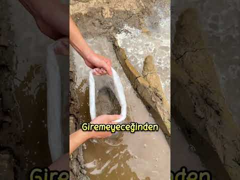EVE Girmek İstemeyenler İçin YENİ Taktik❗😂