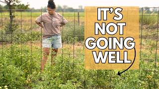 This Wasn't the Garden I Had Planned | Summer Homemaking on Our Farm | Garvee Water Pump