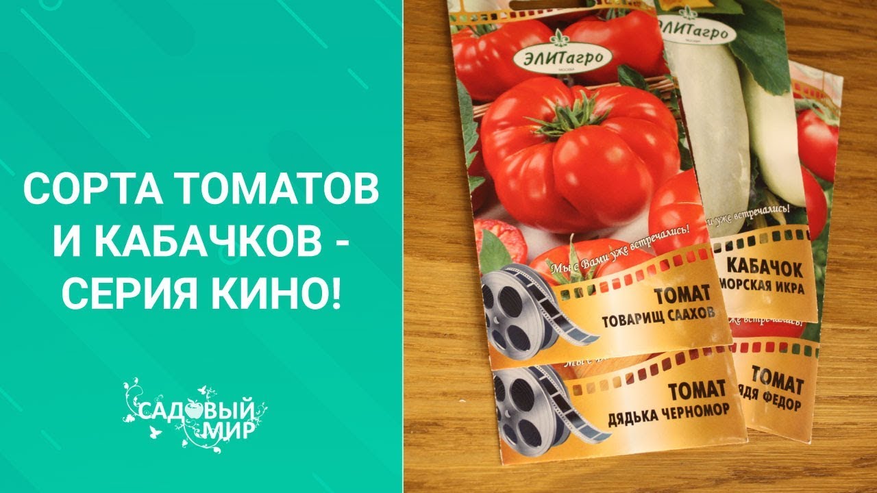 Сорта томатов и кабачков - серия кино!