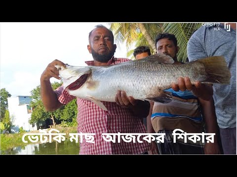 Fishing videos | আজকের শিকার ১৬ কেজি ভেটকি মাছ