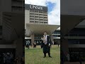 Video Tutorial Quiz
