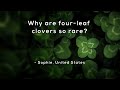 Understanding Four-Leaf Clovers
