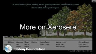 More on Xerosere