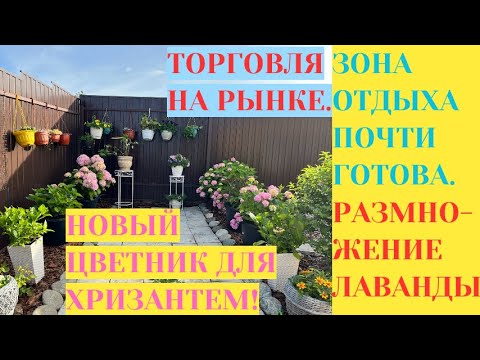 ТОРГОВЛЯ НА РЫНКЕ / ОФОРМЛЕНИЕ РУЧЬЯ / НОВЫЙ ЦВЕТНИК ДЛЯ ХРИЗАНТЕМ / РАЗМНОЖЕНИЕ ЛАВАНДЫ