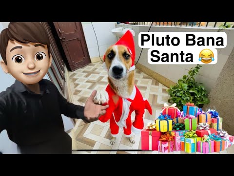 Pluto Became Santa Claus | Christmas Celebration | Street Dog Pluto