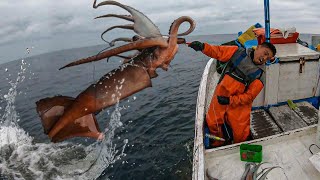 ¡Asombroso! Hombre Pesca Calamar Grandes