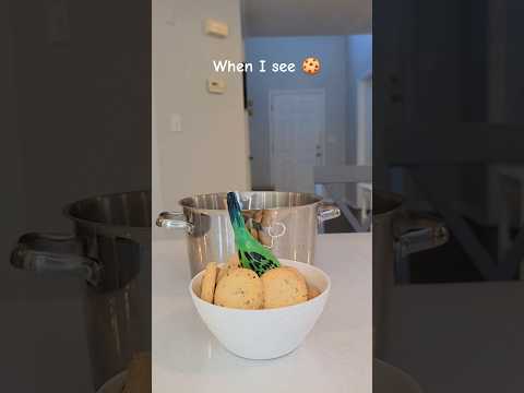 Who has sweet tooth? #shorts #memes #funny