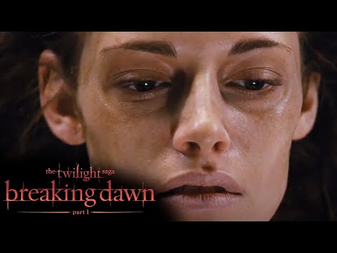 'Edward Tries To Save Bella' Scene | Twilight: Breaking Dawn Part 1 (2011)