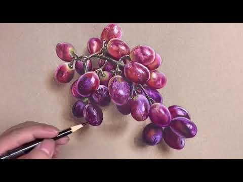 Easily draw a bunch of realistic grapes 🍇