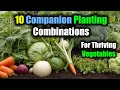 Companion Planting Benefits