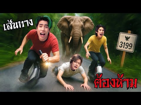 SPD ตะลุยเส้นทางช้างป่า 3199 โหดสุดในกาญจนบุรี (วาน้อยแขนหัก!)