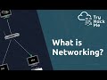 Networking Concepts and Protocols