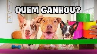 Qual Dos Meus Cães Pula Mais Alto Pra Vencer Essa Armadilha Pegajosa?