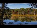 Water Contamination and Regulation Issues
