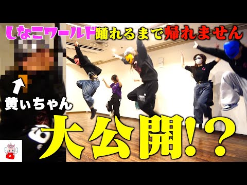 しなこワールド完璧に踊れるまで帰れません！！張り切り過ぎてまさか仮面が！？【ダンス】