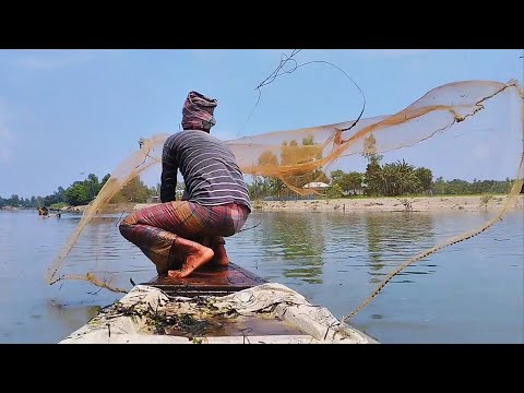 Net Fishing | Traditional Cast Net Fishing in River | Village Fisher Cast Net With Beautiful Nature