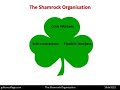 Understanding the Shamrock Organization