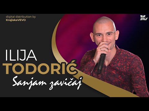 Ilija Todorić - Sanjam zavičaj - (Official Audio 2025)