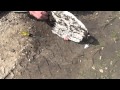Impression Evidence Collection Techniques