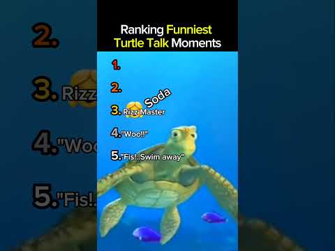 Ranking Funniest Turtle Talk Moments Part 8