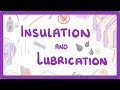 Energy Transfer and Insulation Concepts