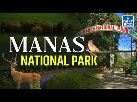 Biosphere Reserves in India (Through Animation) - Manas National Park | UPSC CSE | NEXT IAS