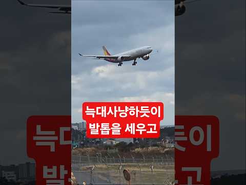 비행기 착륙의 백미는 #아시아나 #착륙 #제주공항