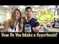 Crafting Effective Hypotheses in Science