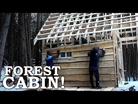 Small Cabin Tour! - Live Edge Siding Cut from Trees, Window Framing - Cabin in the Woods Build Ep7