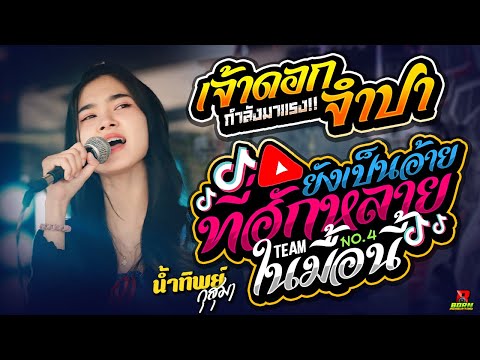 🔥แสดงสดงานล่าสุด!! เจ้าดอกจำปา l ยังเป็นอ้ายที่ฮักหลายในมื้อนี้ - น้ำทิพย์ กุสุมา ฟังยาวๆ 1 ชั่วโมง