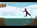 Ice Behavior and Aquatic Life