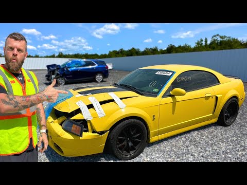 Rescuing A 192,000 Mile TERMINATOR COBRA From AUCTION!?