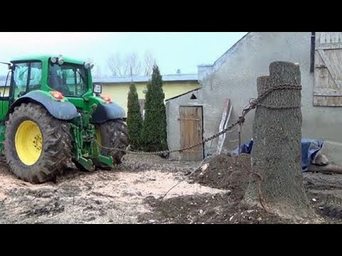 Dangerous Fastest Monster Stump Removal Excavator Working, Heavy Extreme Tractor vs Big Tree Stump