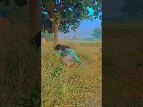 #TIMELAPSE: START to FINISH Alone BUILD LOG Cabin (Wooden House)....